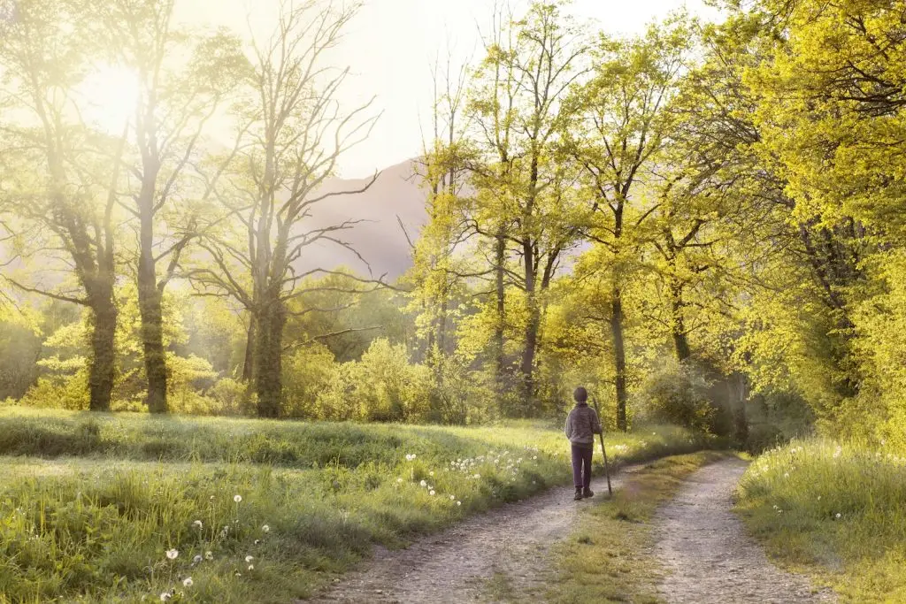 New path unfolding