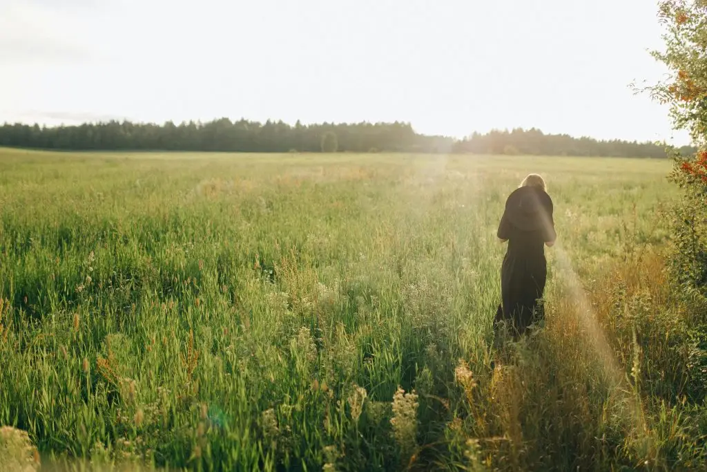 Trust Your Inner Wisdom