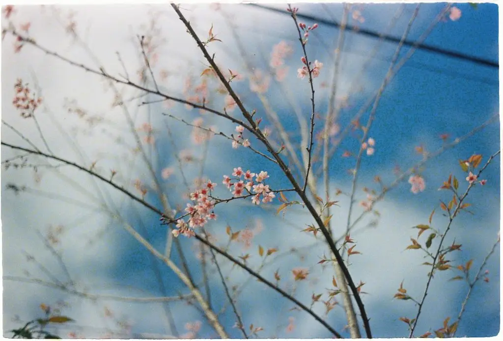 Spirit Guidance for Embracing Change