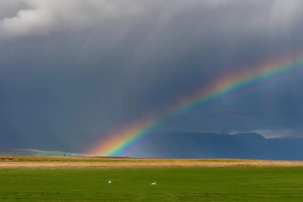 Spirit Message April 2026: Why Your Emotions Feel So Intense Right Now (And How to Handle Them)