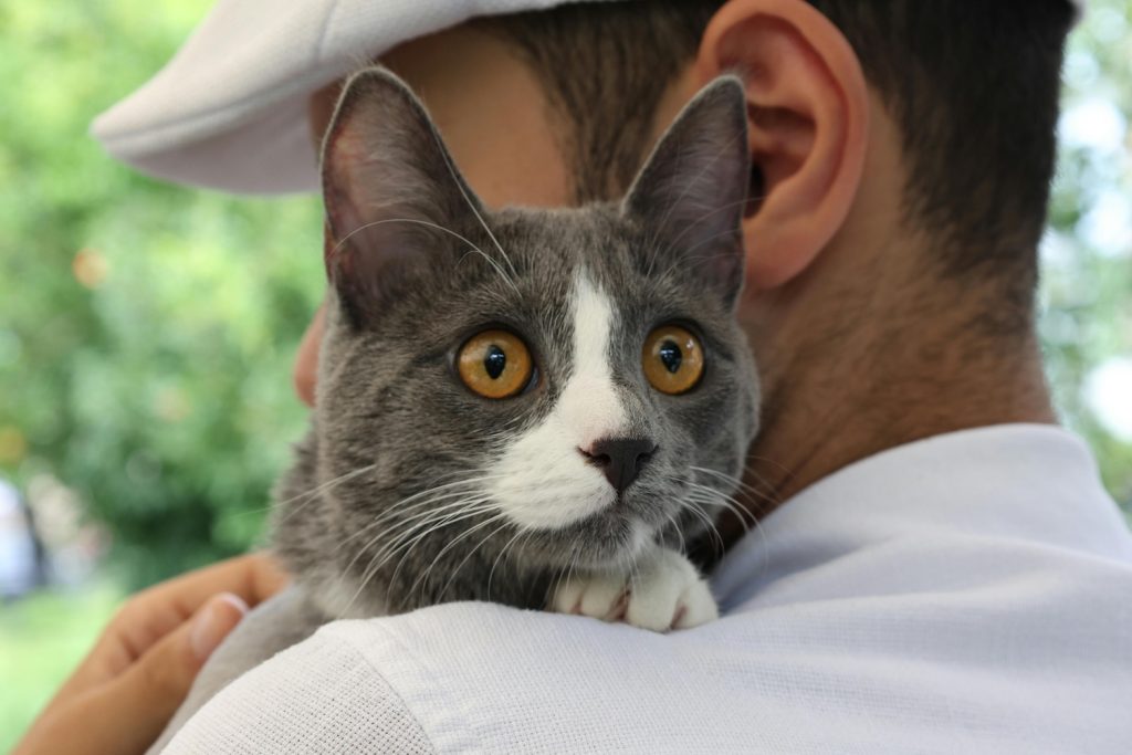 Signs Your Loved One Is Still With You