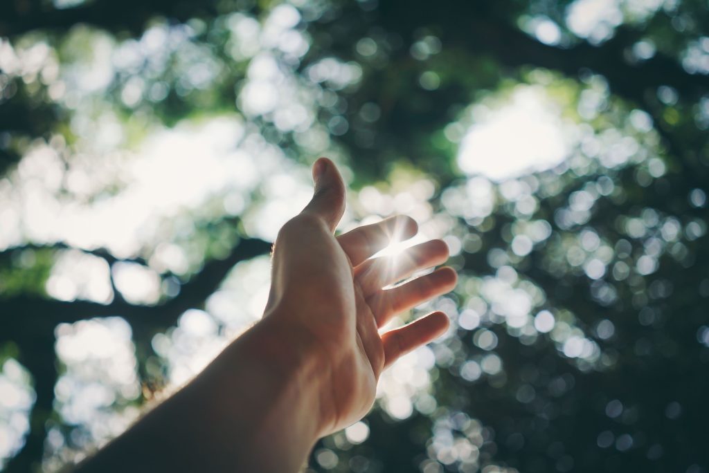 Spirit Message: Everyday Miracles Are All Around You