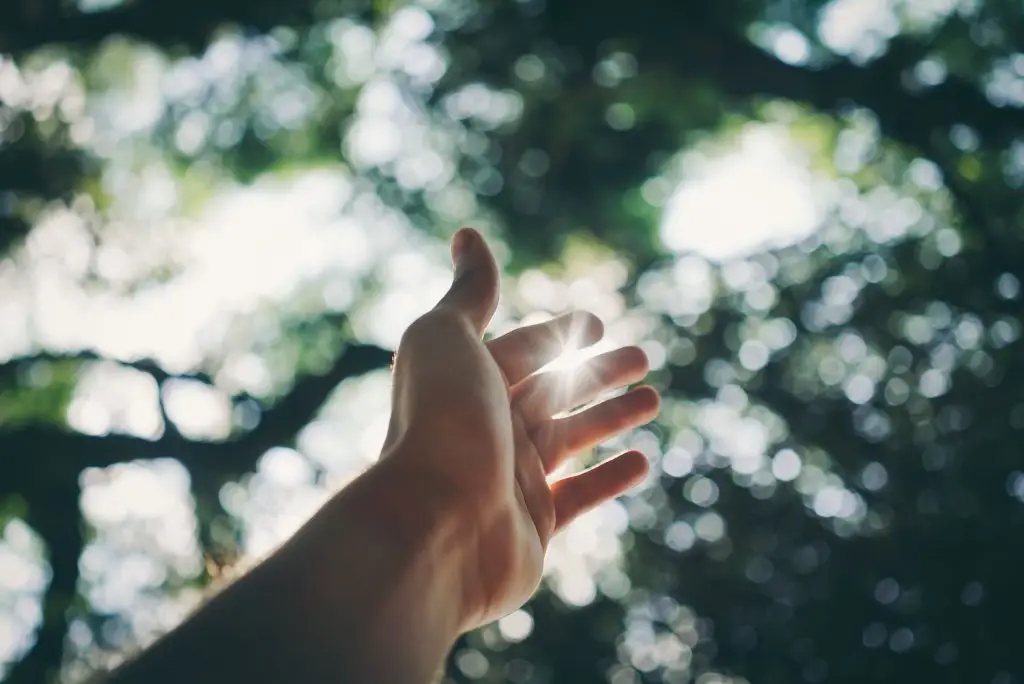 Spirit Message: Everyday Miracles Are All Around You